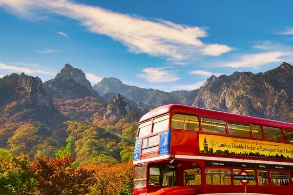  이랜드파크 켄싱턴호텔앤리조트는 본격적인 단풍 시즌을 앞두고 단풍 명소와 가까운 전국 주요 지점에서 ‘가을 단풍’ 기획전을 11월 30일까지 선보인다.[사진= 이랜드파크 켄싱턴호텔앤리조트]