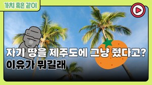 [가치 혹은 같이] 자기 땅을 제주도에 그냥 줬다고? 이유가 뭐길래