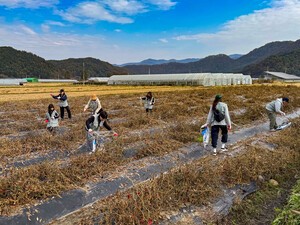 대한항공, 가을 수확철 맞아 농촌 일손돕기 활동